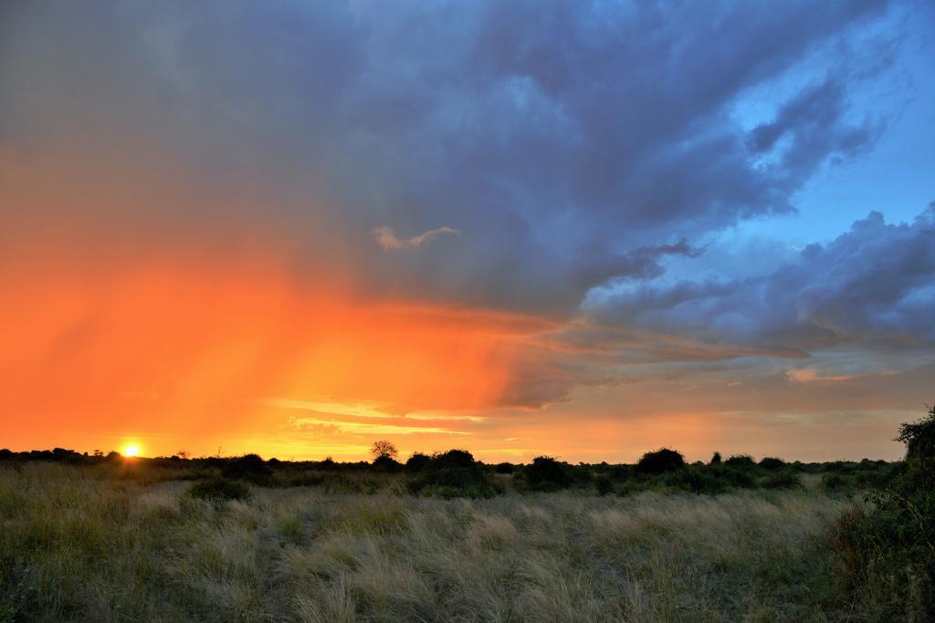 Thebe River Safaris Kasane Luaran gambar