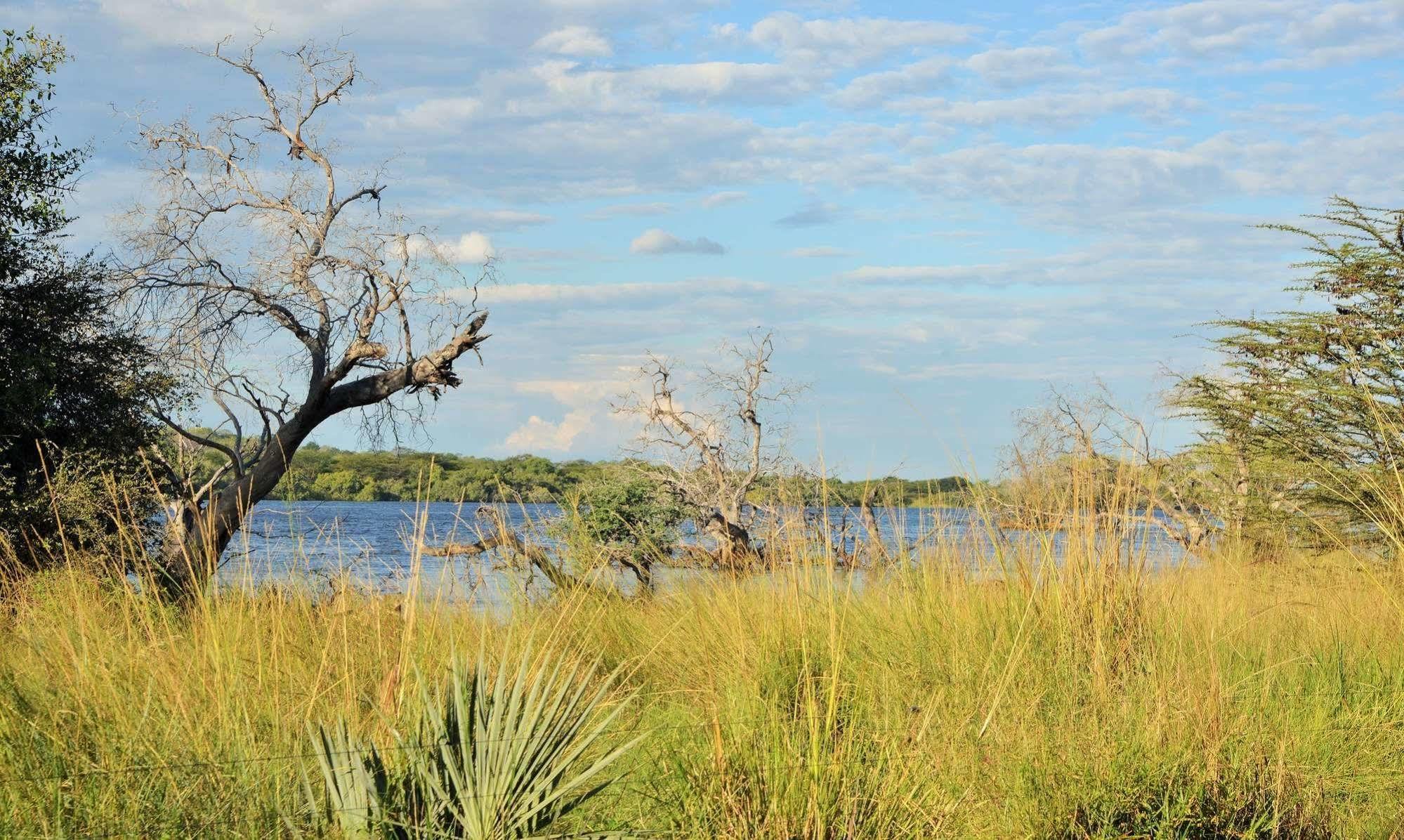 Thebe River Safaris Kasane Luaran gambar